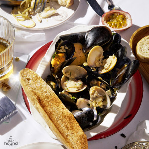 Steamed Blue Mussel and Clam in White Wine Cream Sauce