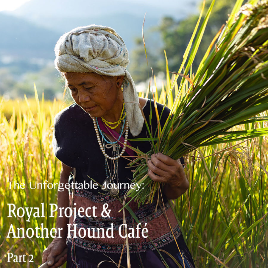The Unforgettable Journey: Royal project & Another Hound Cafe (Part 2)