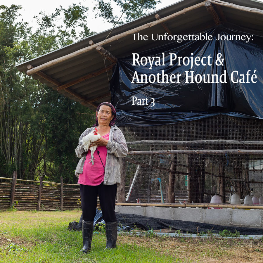 The Unforgettable Journey: Royal project & Another Hound Cafe (Part 3)