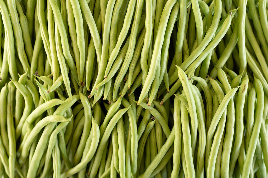 French Bean