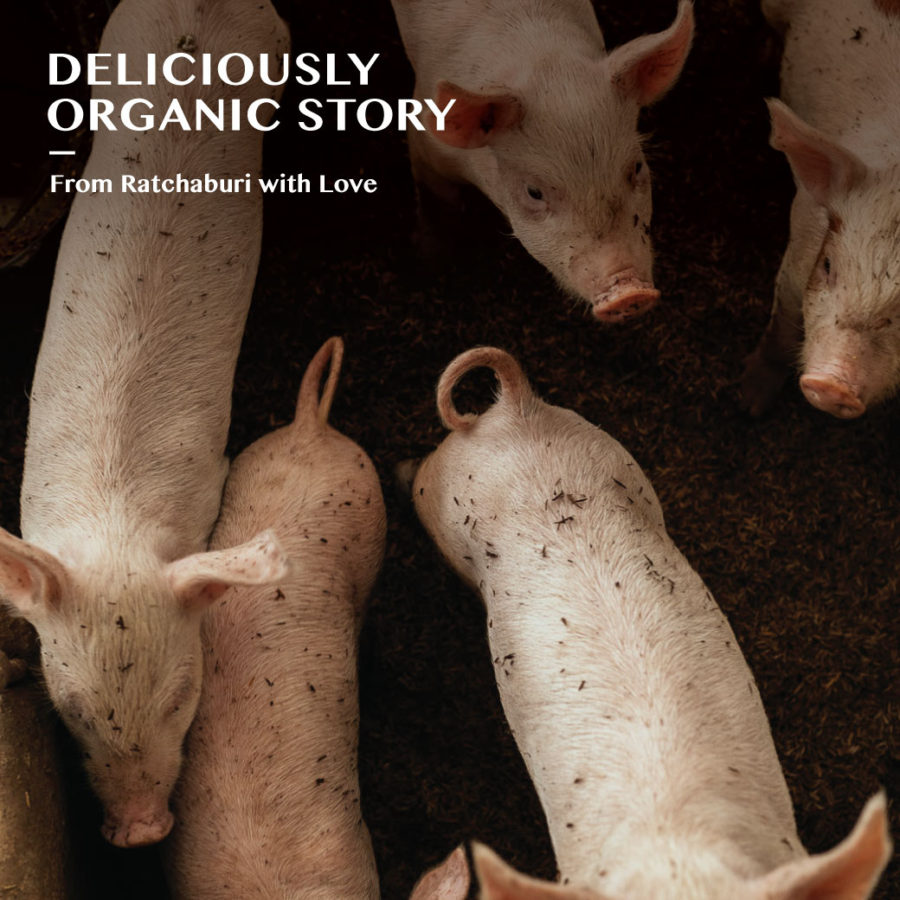 Deliciously Organic Story : From Ratchaburi with Love
