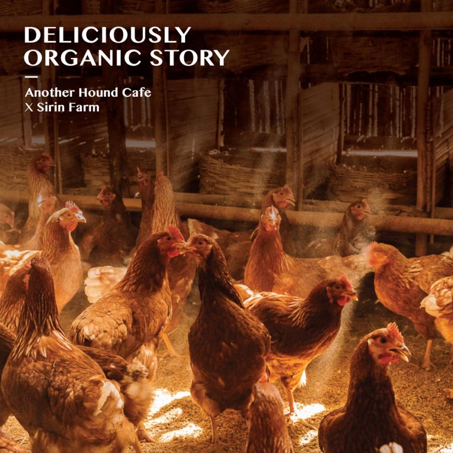 Deliciously Organic Story : Another Hound Cafe X Sirin Farm
