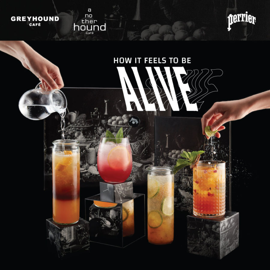 Another Hound Cafe X Perrier : How it feels to be ALIVE
